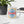Load image into Gallery viewer, OLD FASHIONED - mug
