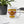 Load image into Gallery viewer, SURVEILLANCE STATE - mug