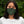 Load image into Gallery viewer, WE'RE ALL GOING TO DIE! - GREEN - fitted face mask