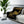 Load image into Gallery viewer, 2022 YEAR OF THE TIGER - BLK - sherpa blanket