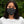 Load image into Gallery viewer, WE'RE ALL GOING TO DIE! - BG - fitted face mask