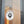 Load image into Gallery viewer, DANGEROUS VARIANT - WB - vinyl sticker