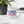 Load image into Gallery viewer, NO AGENDA 13 YEARS - mug