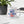 Load image into Gallery viewer, NO AGENDA 2020 - mug