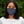 Load image into Gallery viewer, NO AGENDA CAMO - CMYK - fitted face mask