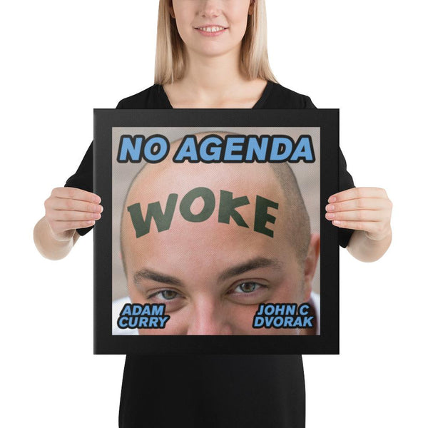 NO AGENDA 1344 - canvas cover art
