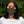 Load image into Gallery viewer, NO AGENDA CAMO - ARMY - fitted face mask