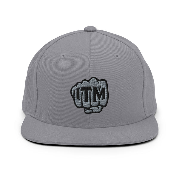 ITM FIST - high snapback hat