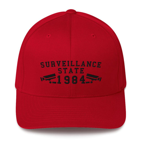 SURVEILLANCE STATE - fitted hat