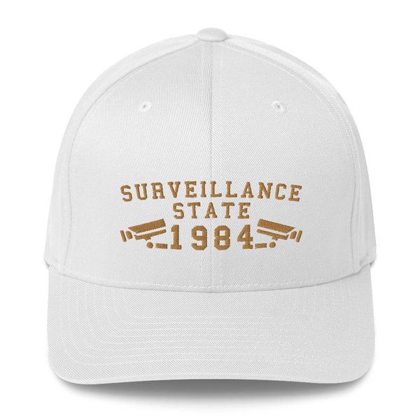 SURVEILLANCE STATE - fitted hat