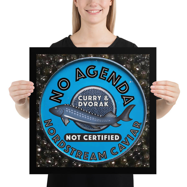 NO AGENDA 1421 - cover art poster print
