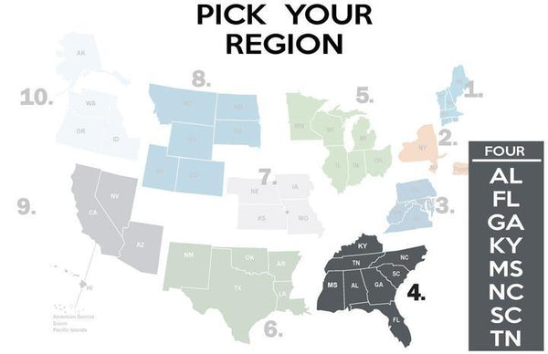 FEMA REGION FOUR - BLACK - fitted face mask