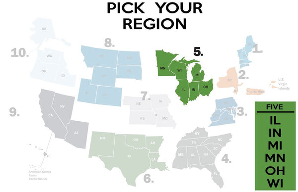 FEMA REGION FIVE - accent mug