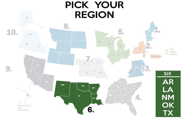 FEMA REGION SIX - accent mug