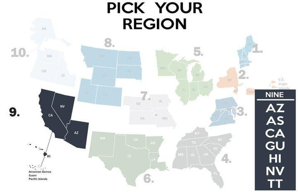 FEMA REGION NINE - BLUE - fitted face mask