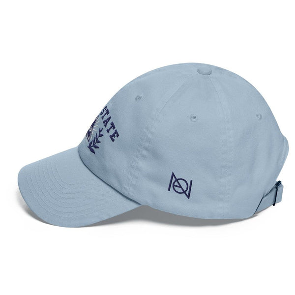 DEEP STATE UNIVERSITY - dad hat