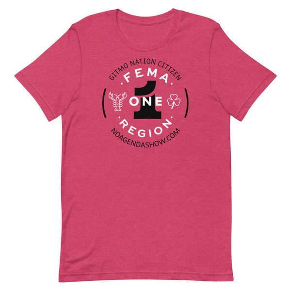 FEMA REGION ONE - tee shirt