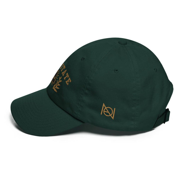 DEEP STATE UNIVERSITY - dad hat