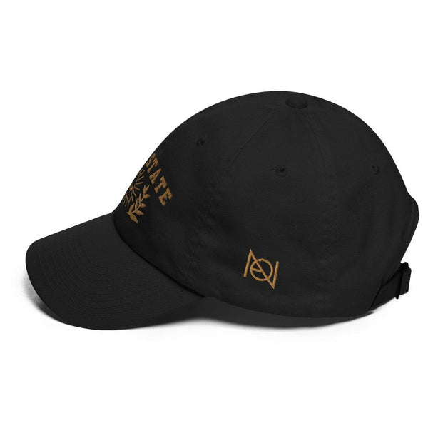 DEEP STATE UNIVERSITY - dad hat