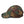 Load image into Gallery viewer, DEEP STATE UNIVERSITY - dad hat