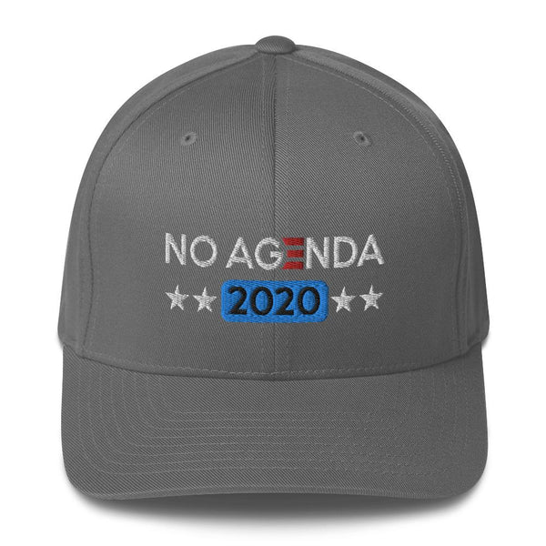 NO AGENDA 2020 - fitted hat