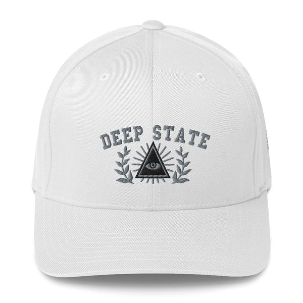 DEEP STATE UNIVERSITY - fitted hat