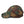 Load image into Gallery viewer, DONT TREAD ON PODCASTING - dad hat