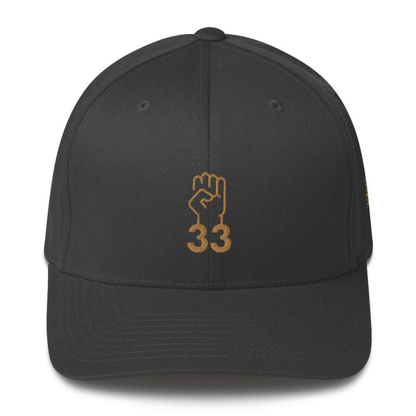 NO AGENDA 33 - fitted hat