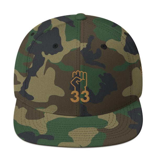 NO AGENDA 33 - high snapback hat
