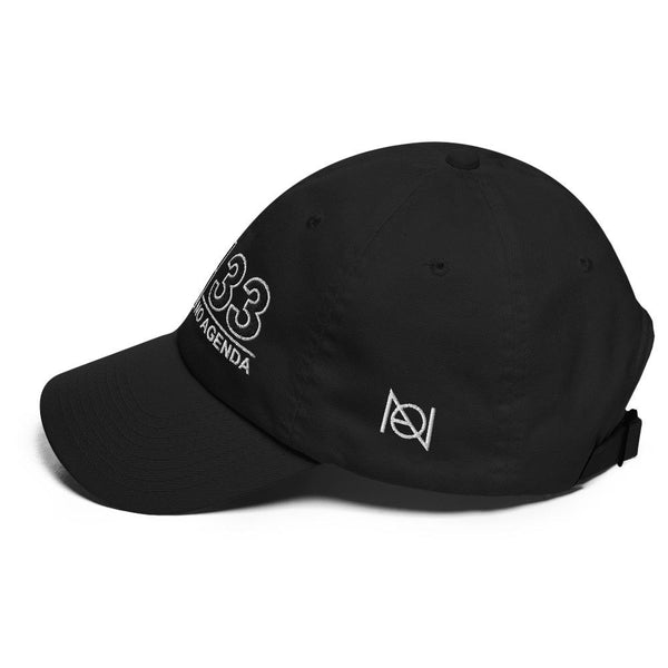 NEWS 33 - dad hat