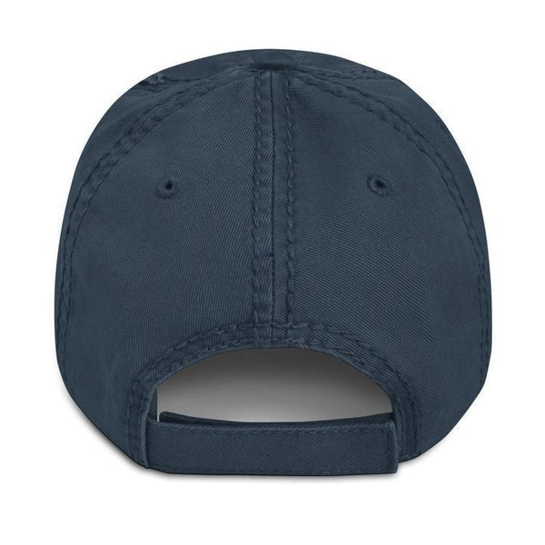 SURVEILLANCE STATE - distressed hat