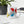 Load image into Gallery viewer, NO AGENDA HAUS - mug