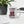 Load image into Gallery viewer, UNACCEPTABLE FREEDOM CONVOY - mug