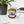Load image into Gallery viewer, APPETITE FOR DECONSTRUCTION - mug