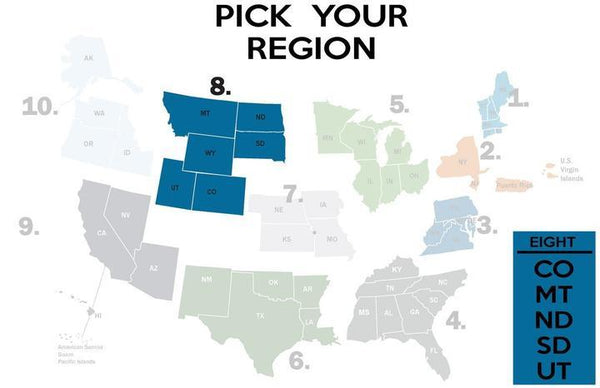 FEMA REGION EIGHT - RED - fitted face mask