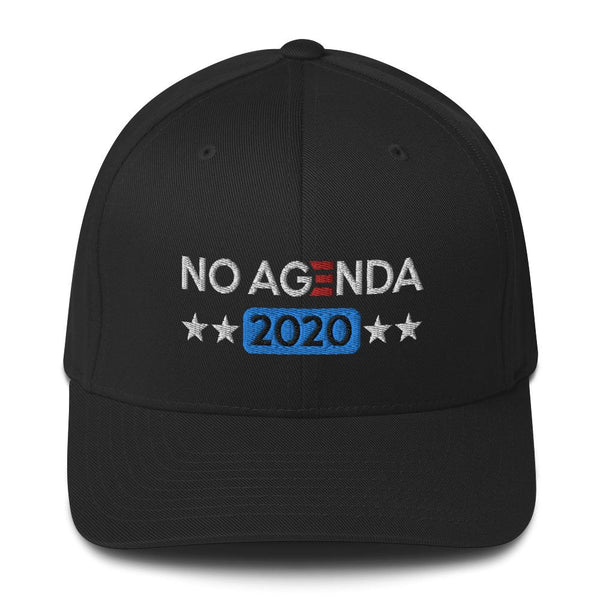 NO AGENDA 2020 - fitted hat