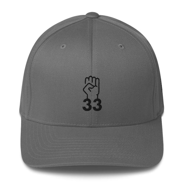 NO AGENDA 33 - fitted hat