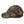 Load image into Gallery viewer, DONT TREAD ON PODCASTING - dad hat
