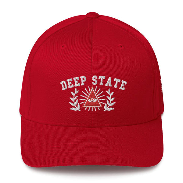 DEEP STATE UNIVERSITY - fitted hat